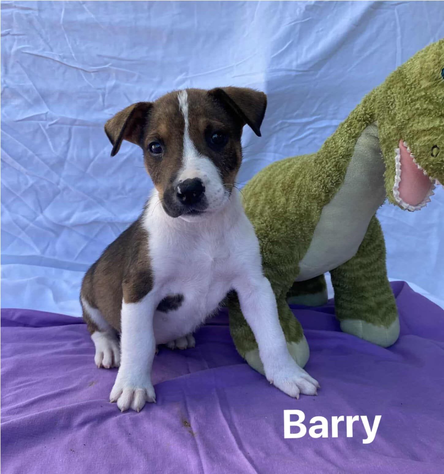 Barry Barry